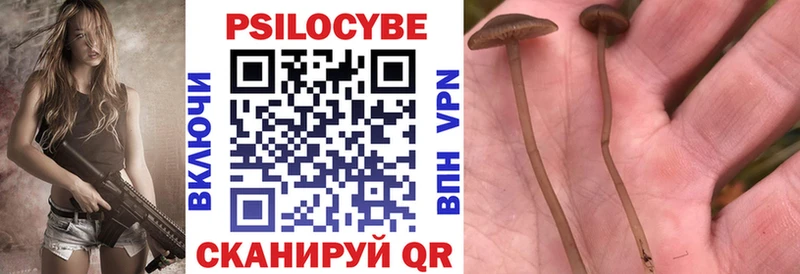 продажа наркотиков  маркетплейс Telegram  Галлюциногенные грибы Psilocybe  Орск 